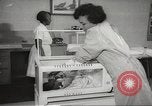 Standbild Baby Gorilla in Dallas Zoo Dallas Texas USA, 1966, aus Sekunde 22 historischem Filmmaterial Videoclip 65675061785