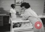 Standbild Baby Gorilla in Dallas Zoo Dallas Texas USA, 1966, aus Sekunde 23 historischem Filmmaterial Videoclip 65675061785