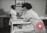 Standbild Baby Gorilla in Dallas Zoo Dallas Texas USA, 1966, aus Sekunde 24 historischem Filmmaterial Videoclip 65675061785
