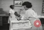 Standbild Baby Gorilla in Dallas Zoo Dallas Texas USA, 1966, aus Sekunde 25 historischem Filmmaterial Videoclip 65675061785