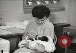 Standbild Baby Gorilla in Dallas Zoo Dallas Texas USA, 1966, aus Sekunde 38 historischem Filmmaterial Videoclip 65675061785