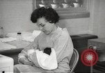 Standbild Baby Gorilla in Dallas Zoo Dallas Texas USA, 1966, aus Sekunde 41 historischem Filmmaterial Videoclip 65675061785