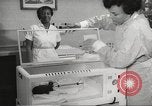 Standbild Baby Gorilla in Dallas Zoo Dallas Texas USA, 1966, aus Sekunde 60 historischem Filmmaterial Videoclip 65675061785