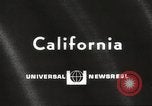 Image of Grey Whale California United States USA, 1966, second 1 stock footage video 65675061790