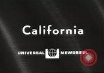 Image of Grey Whale California United States USA, 1966, second 3 stock footage video 65675061790