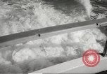 Image of Grey Whale California United States USA, 1966, second 20 stock footage video 65675061790