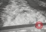 Image of Grey Whale California United States USA, 1966, second 21 stock footage video 65675061790