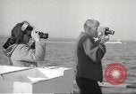 Image of Grey Whale California United States USA, 1966, second 24 stock footage video 65675061790