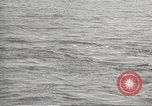 Image of Grey Whale California United States USA, 1966, second 32 stock footage video 65675061790