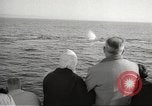 Image of Grey Whale California United States USA, 1966, second 34 stock footage video 65675061790