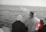 Image of Grey Whale California United States USA, 1966, second 35 stock footage video 65675061790