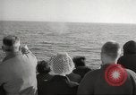 Image of Grey Whale California United States USA, 1966, second 46 stock footage video 65675061790