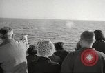 Image of Grey Whale California United States USA, 1966, second 47 stock footage video 65675061790