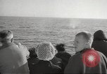 Image of Grey Whale California United States USA, 1966, second 48 stock footage video 65675061790