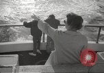 Image of Grey Whale California United States USA, 1966, second 56 stock footage video 65675061790