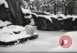 Image of snowfall Paris France, 1966, second 4 stock footage video 65675061791