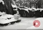 Image of snowfall Paris France, 1966, second 5 stock footage video 65675061791