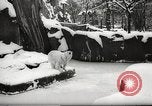 Image of snowfall Paris France, 1966, second 6 stock footage video 65675061791