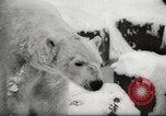 Image of snowfall Paris France, 1966, second 7 stock footage video 65675061791