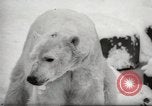 Image of snowfall Paris France, 1966, second 8 stock footage video 65675061791