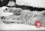 Image of snowfall Paris France, 1966, second 13 stock footage video 65675061791