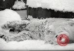 Image of snowfall Paris France, 1966, second 14 stock footage video 65675061791