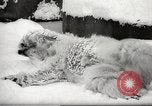 Image of snowfall Paris France, 1966, second 15 stock footage video 65675061791