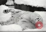 Image of snowfall Paris France, 1966, second 16 stock footage video 65675061791