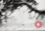 Image of snowfall Paris France, 1966, second 40 stock footage video 65675061791