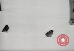 Image of snowfall Paris France, 1966, second 51 stock footage video 65675061791