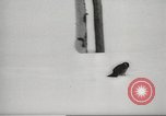 Image of snowfall Paris France, 1966, second 53 stock footage video 65675061791