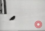 Image of snowfall Paris France, 1966, second 54 stock footage video 65675061791