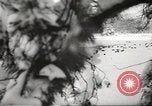 Image of snowfall Paris France, 1966, second 56 stock footage video 65675061791