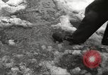 Image of snowfall New York City USA, 1967, second 36 stock footage video 65675061792