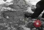 Image of snowfall New York City USA, 1967, second 37 stock footage video 65675061792