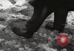 Image of snowfall New York City USA, 1967, second 38 stock footage video 65675061792