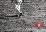 Image of Southwest Texas damage from drought Texas United States USA, 1967, second 6 stock footage video 65675061793