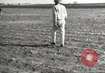 Image of Southwest Texas damage from drought Texas United States USA, 1967, second 9 stock footage video 65675061793