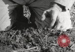 Image of Southwest Texas damage from drought Texas United States USA, 1967, second 16 stock footage video 65675061793