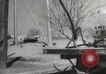 Image of Southwest Texas damage from drought Texas United States USA, 1967, second 32 stock footage video 65675061793