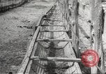 Image of Southwest Texas damage from drought Texas United States USA, 1967, second 35 stock footage video 65675061793