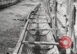 Image of Southwest Texas damage from drought Texas United States USA, 1967, second 36 stock footage video 65675061793