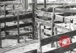 Image of Southwest Texas damage from drought Texas United States USA, 1967, second 37 stock footage video 65675061793