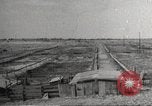 Image of Southwest Texas damage from drought Texas United States USA, 1967, second 40 stock footage video 65675061793