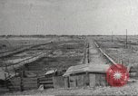 Image of Southwest Texas damage from drought Texas United States USA, 1967, second 41 stock footage video 65675061793