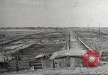 Image of Southwest Texas damage from drought Texas United States USA, 1967, second 42 stock footage video 65675061793