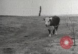 Image of Southwest Texas damage from drought Texas United States USA, 1967, second 46 stock footage video 65675061793