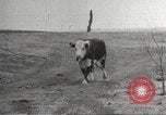 Image of Southwest Texas damage from drought Texas United States USA, 1967, second 47 stock footage video 65675061793