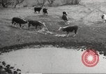 Image of Southwest Texas damage from drought Texas United States USA, 1967, second 48 stock footage video 65675061793