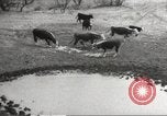 Image of Southwest Texas damage from drought Texas United States USA, 1967, second 50 stock footage video 65675061793